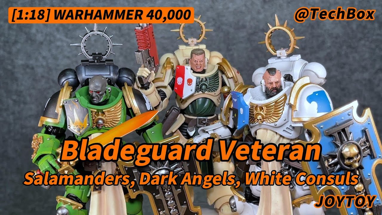Joytoy Warhammer 40K, Bladeguard Veteran, Dark Angels, Salamanders, White Consuls, 1/18 figure