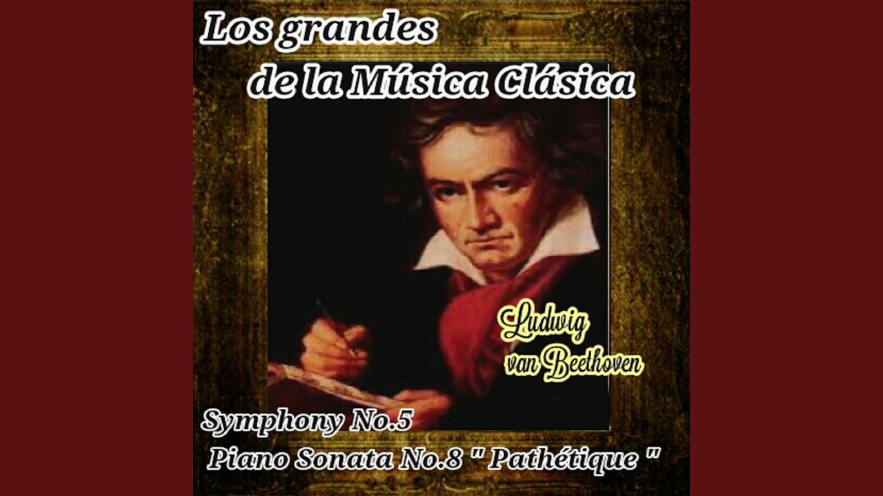 Symphony No. 5 in C Minor, Op. 67: I. Allegro con brio