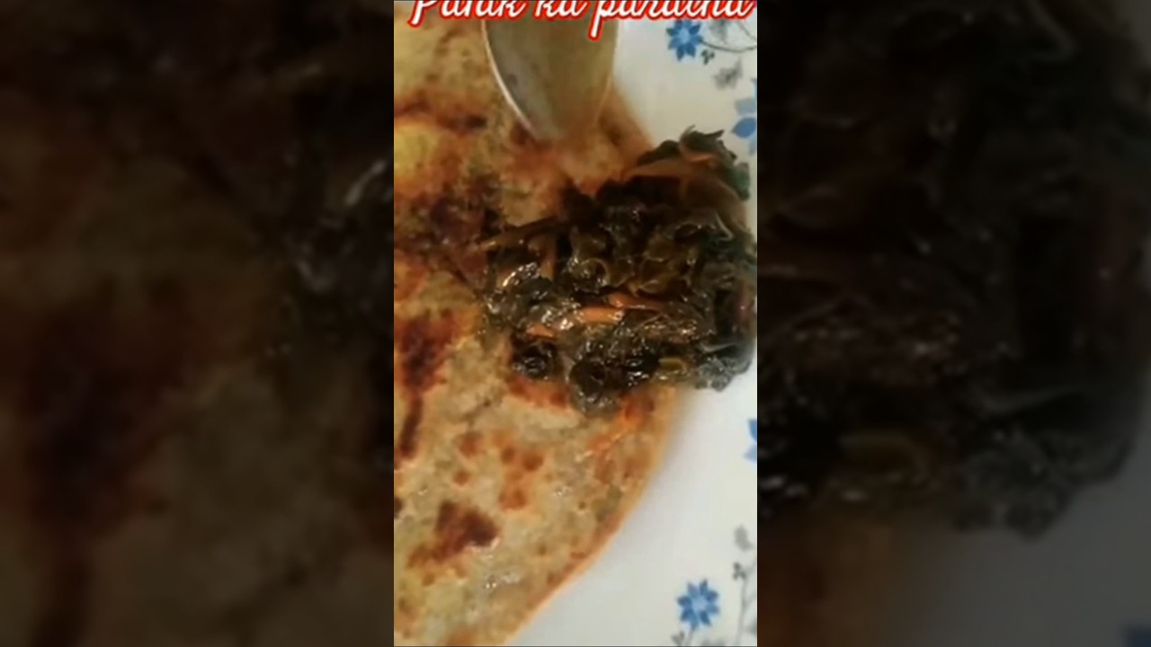How to Make Palak Paratha at Home | Palak Paratha Recipe | पालक का पराठा कैसे बनाए