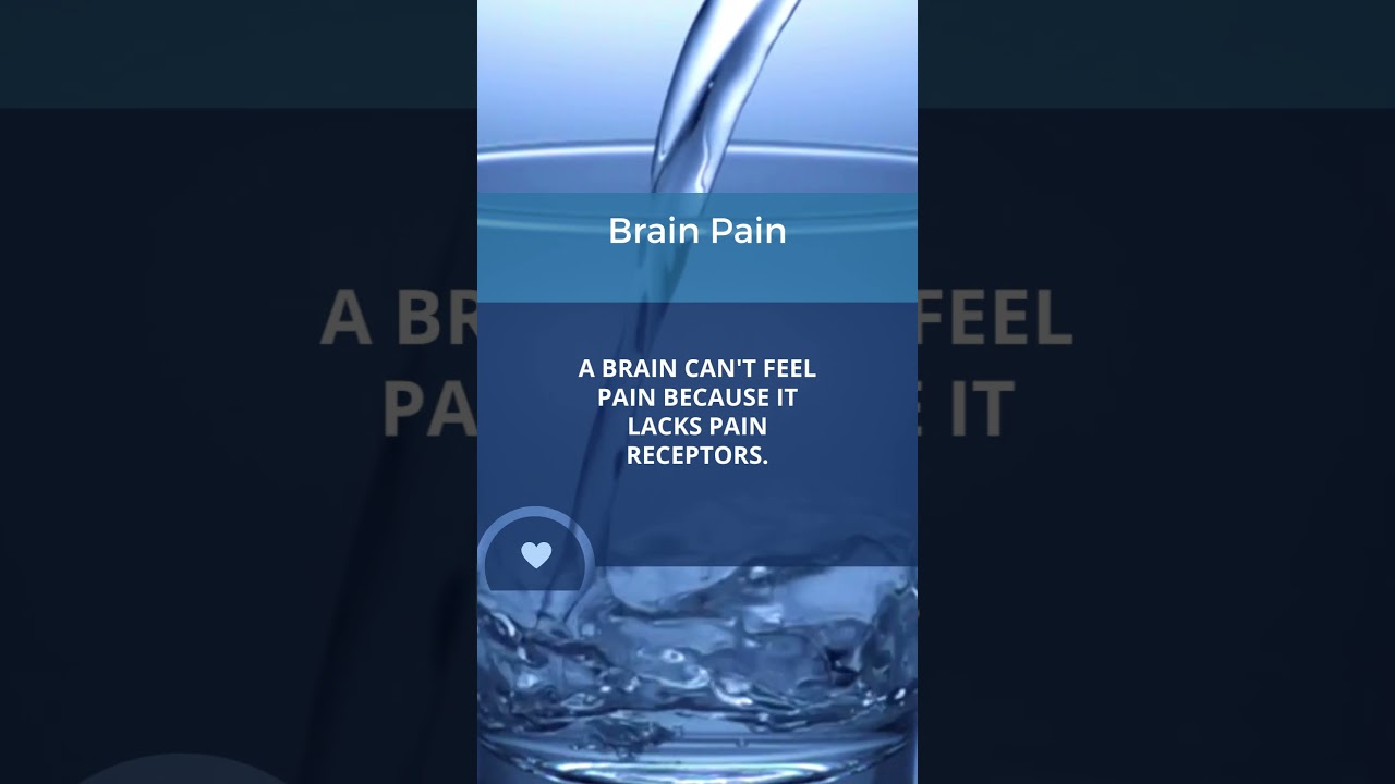 Brain Pain Explained | Medical Marvels | SnappyShortFlick