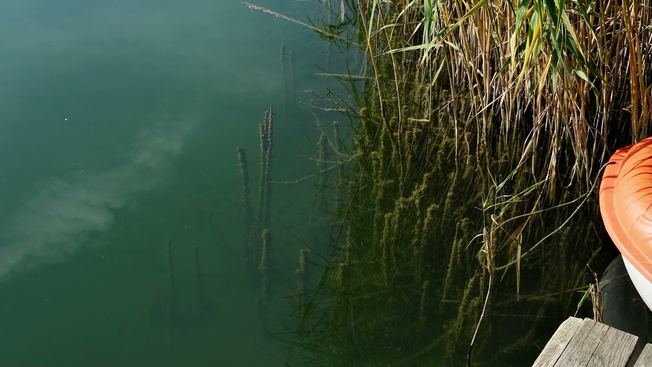 Der Erlichsee bei Oberhausen-Rheinhausen in Baden-Württemberg.