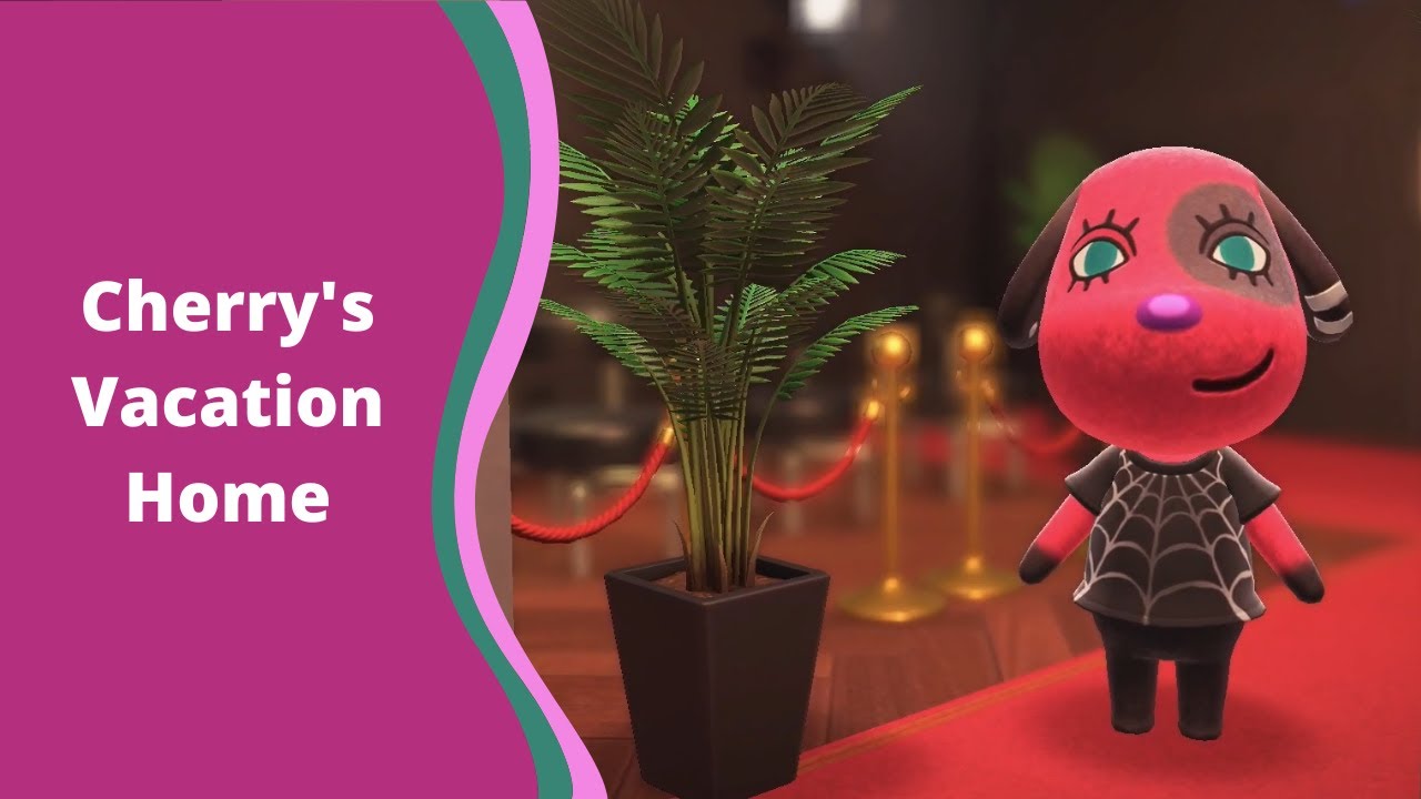 Cherry's Fashion Show | Happy Home Paradise | Animal Crossing New Horizons