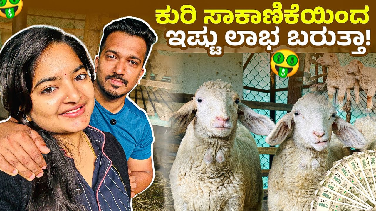 ಕುರಿ ಸಾಕಾಣಿಕೆಯಿಂದ ಇಷ್ಟು ಲಾಭ ಬರುತ್ತಾ