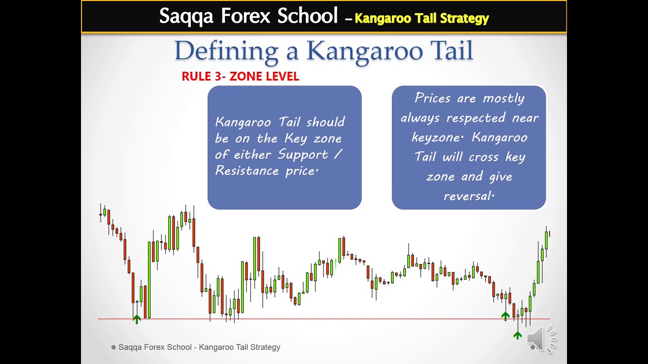 Forex Strategy- How to use Kangaroo Tails in your forex trading.