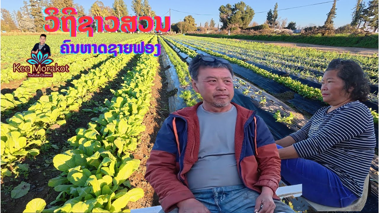 ຢື້ຢາມຖາມຂ່າວກະເສດຕະກອນລາວ L A ໃນຕ່າງແດນ