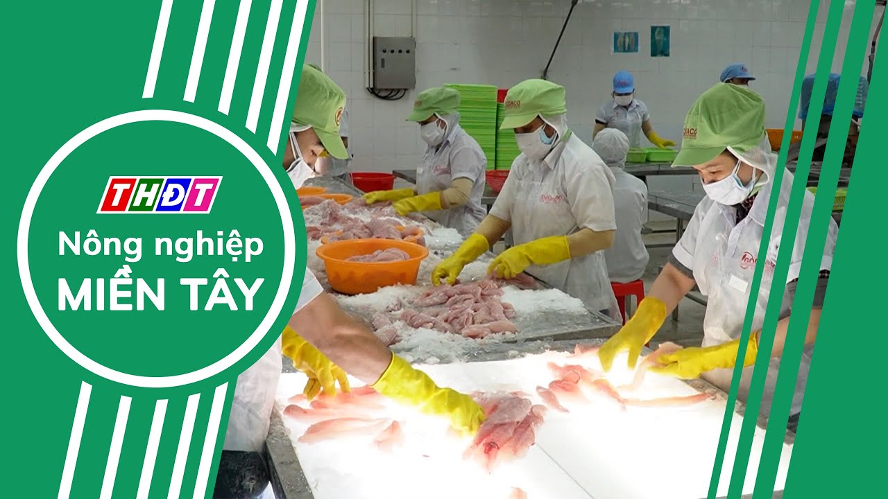 Toàn cảnh Nông nghiệp - 20/2/2024 | Nông nghiệp Miền Tây
