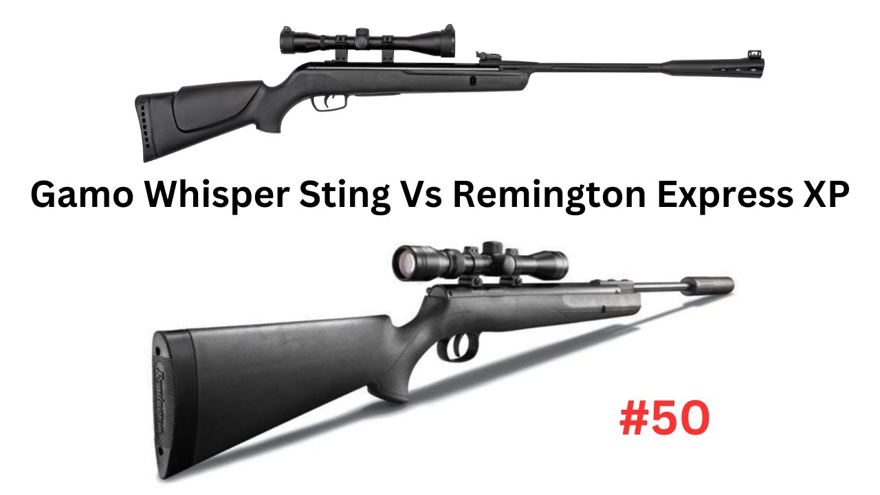 Gamo Whisper Sting Vs Remington Express XP