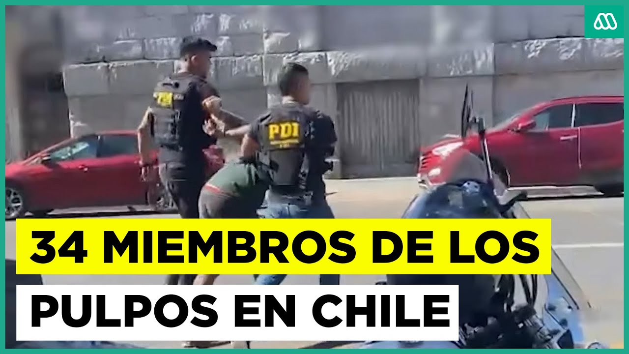 Detienen a 34 miembros de Los Pulpos: Chileno era miembro de la banda