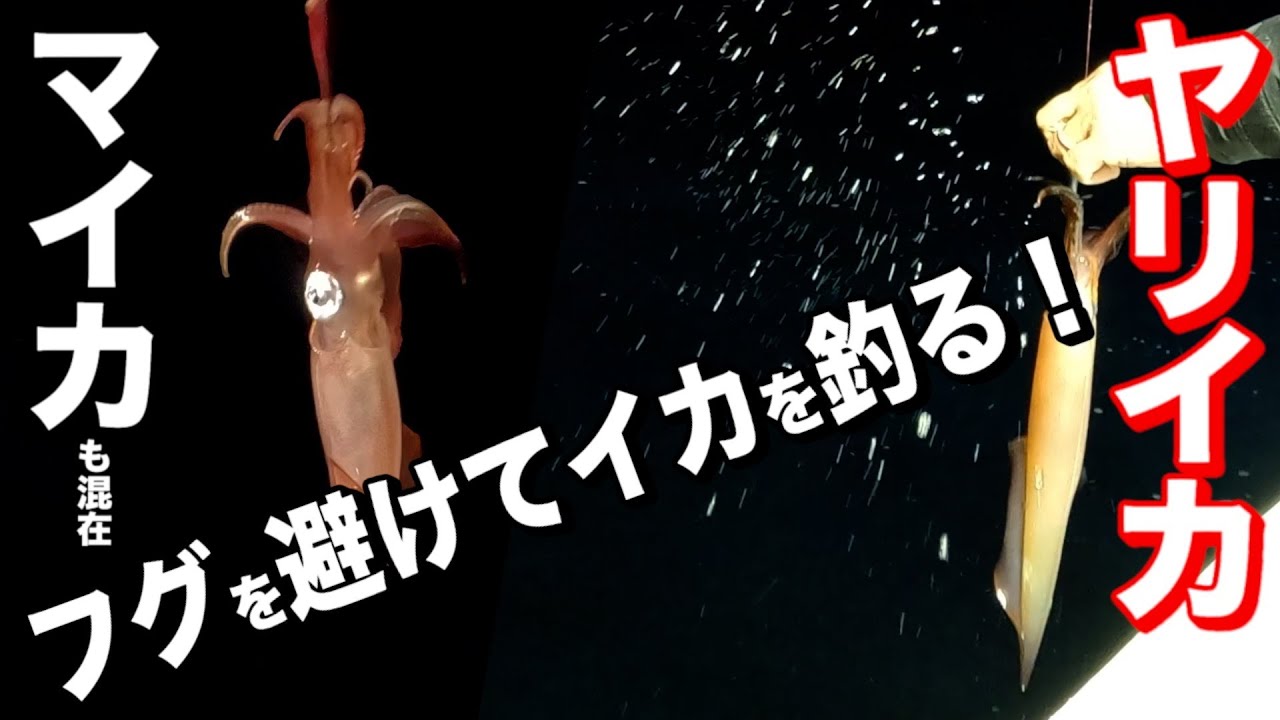 【イカメタル オモリグ】フグを避けてイカを釣る！