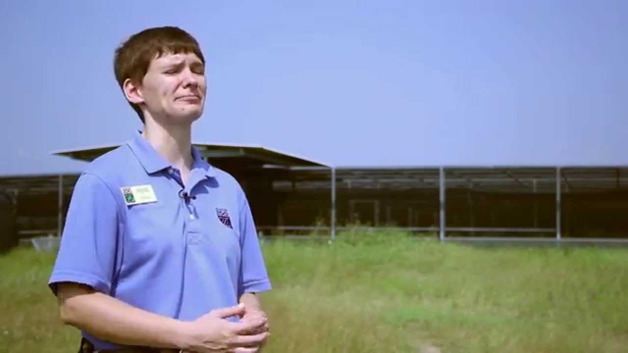 NASA & HoustonZoo Prairie Chicken Captive Breeding Program