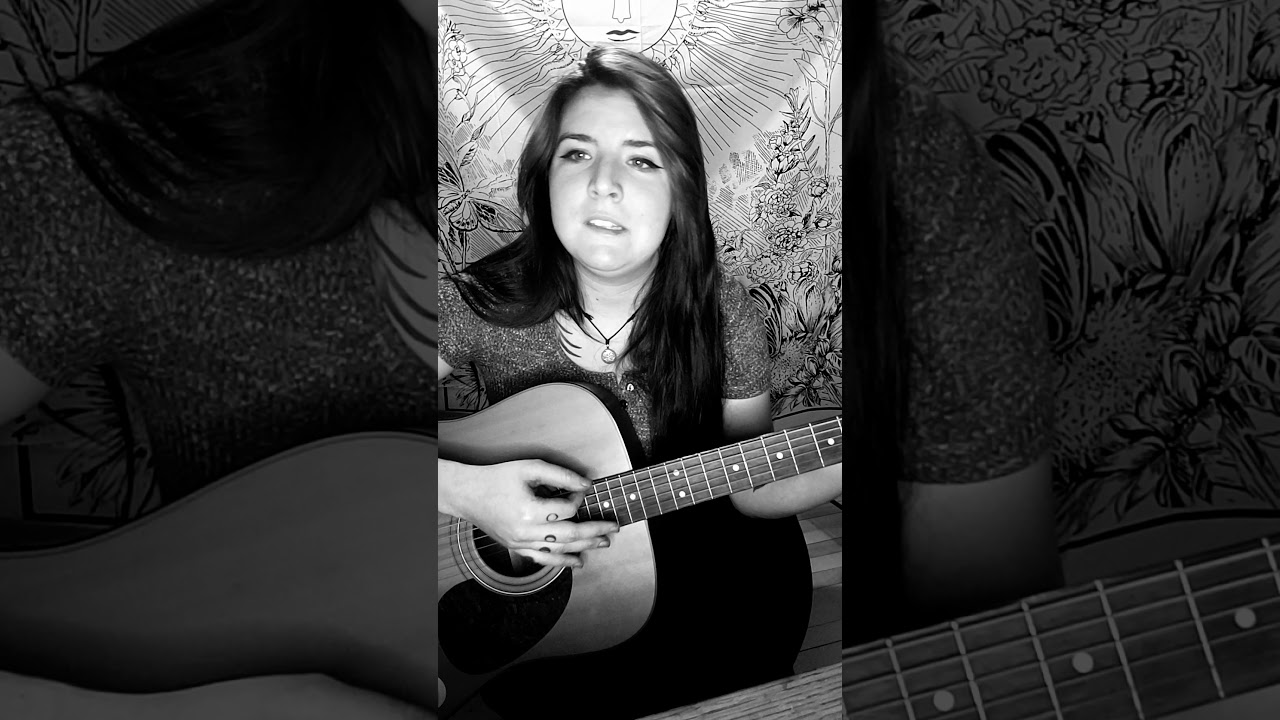 Vincent Don McLean cover by Nix