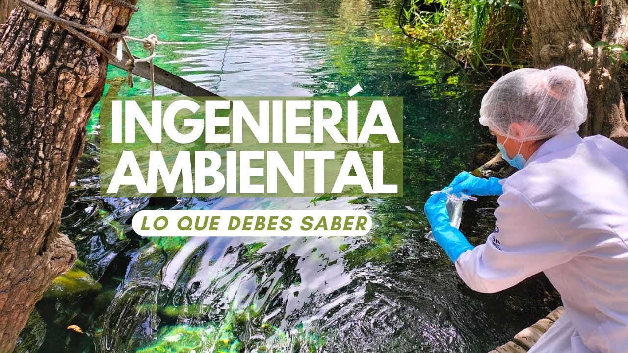 7 VERDADES de la carrera de ingeniería ambiental🌱