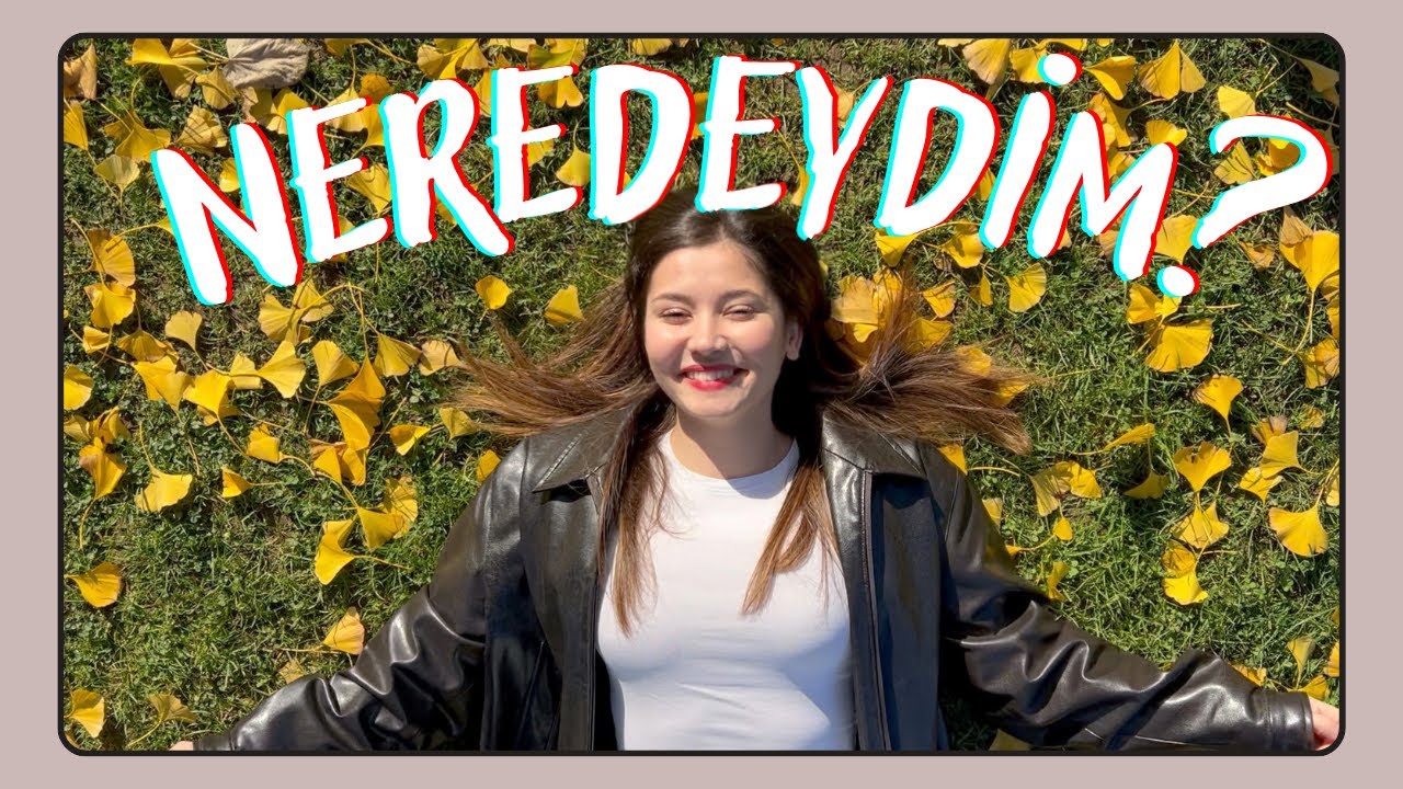 neredeydim? || erasmus nasıldı, okul, staj, gelecek planları...