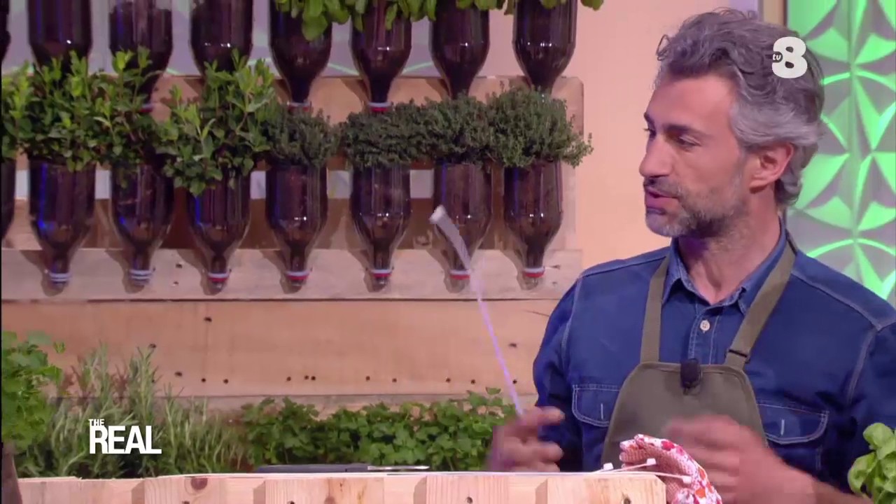 Giardinaggio: l'orto verticale fatto in casa | The Real Italia