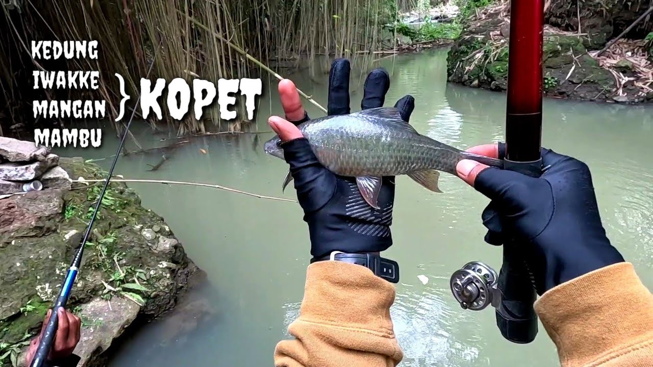 UMPAN GHOIB MENGUKIR CERITA ‼️ MANCING NILEM TEHNIK NUTUL PINGGIR WADAS #mancingnilembabon
