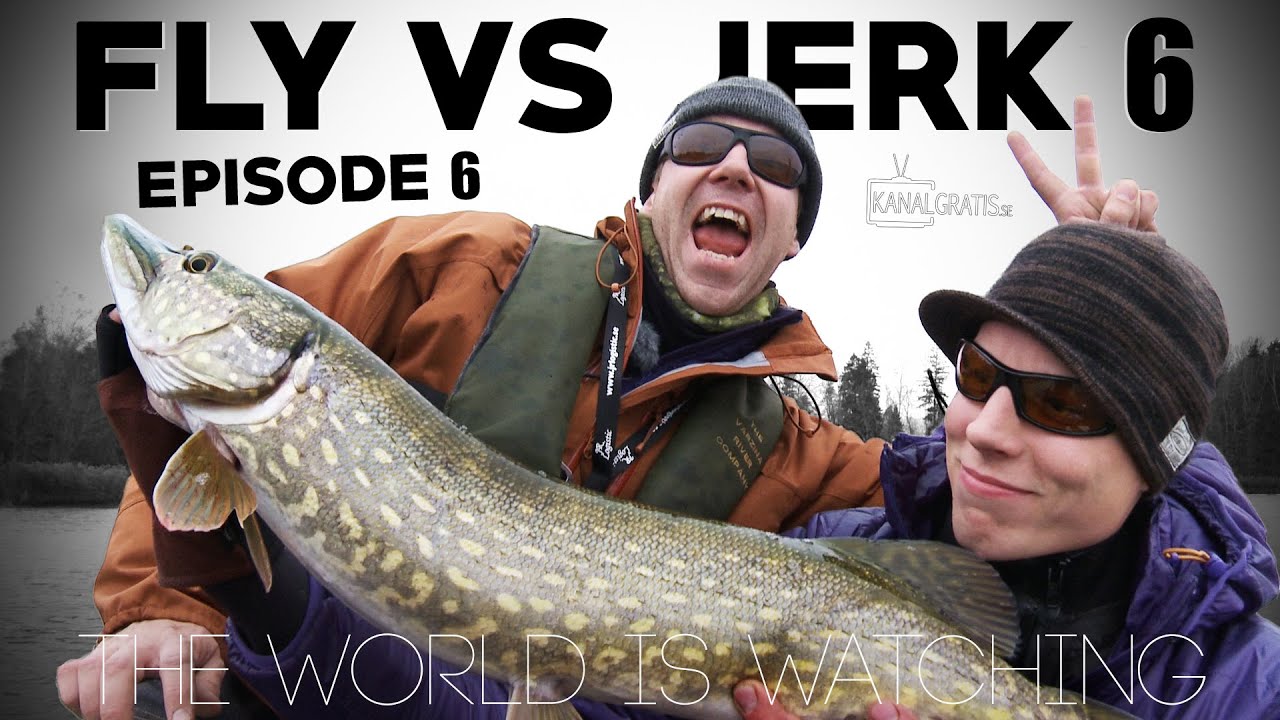 Fly vs Jerk 6 - EPISODE 6 - The World is Watching (with Live Reactions)