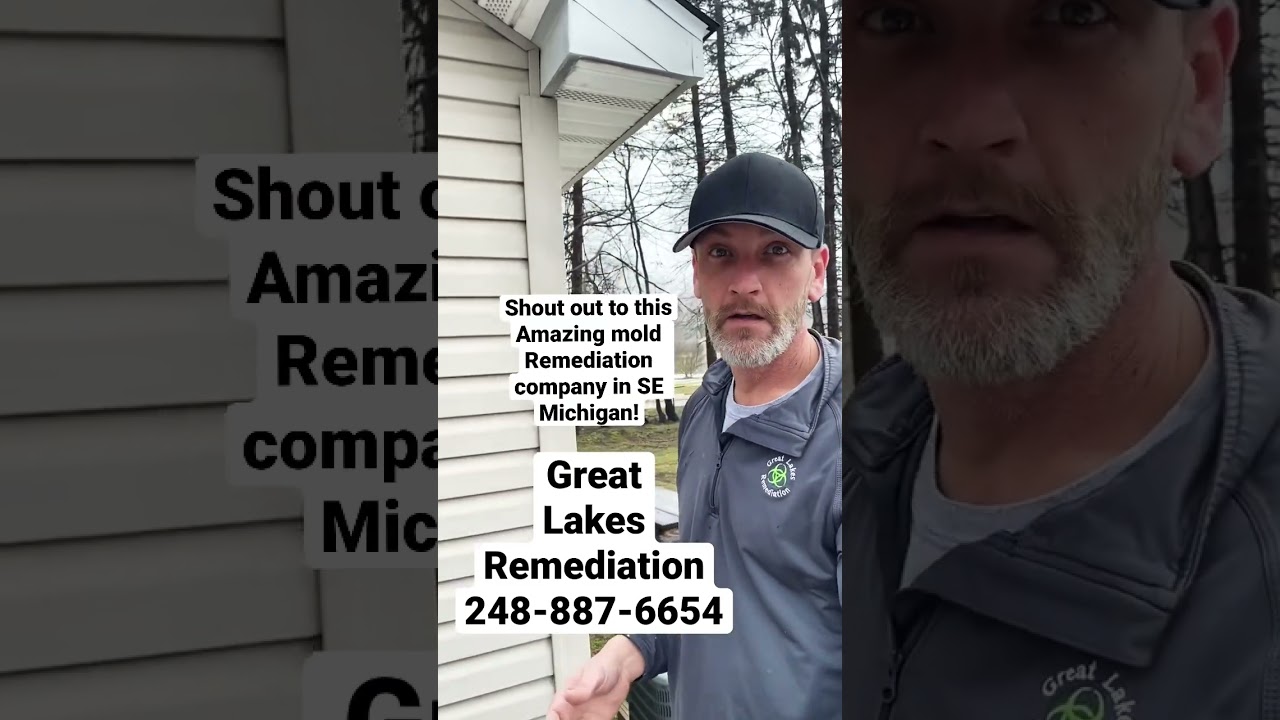 MOLD REMEDIATION COMPANY Great Lakes Remediation serving southeast Michigan