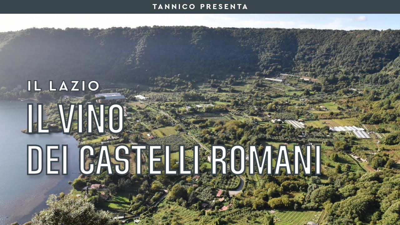 Il vino dei Castelli Romani e la storia dell'azienda Omina Romana | Tannico