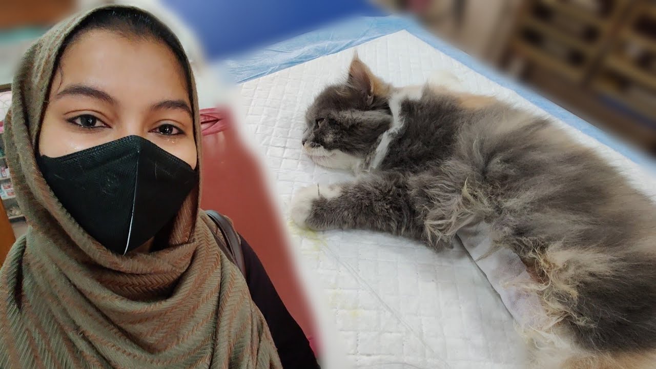 NIKKI's OPERATION..🥺 PAMI CRIED..😢