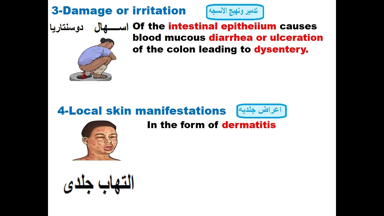 Parasitology infection module part 2   2026