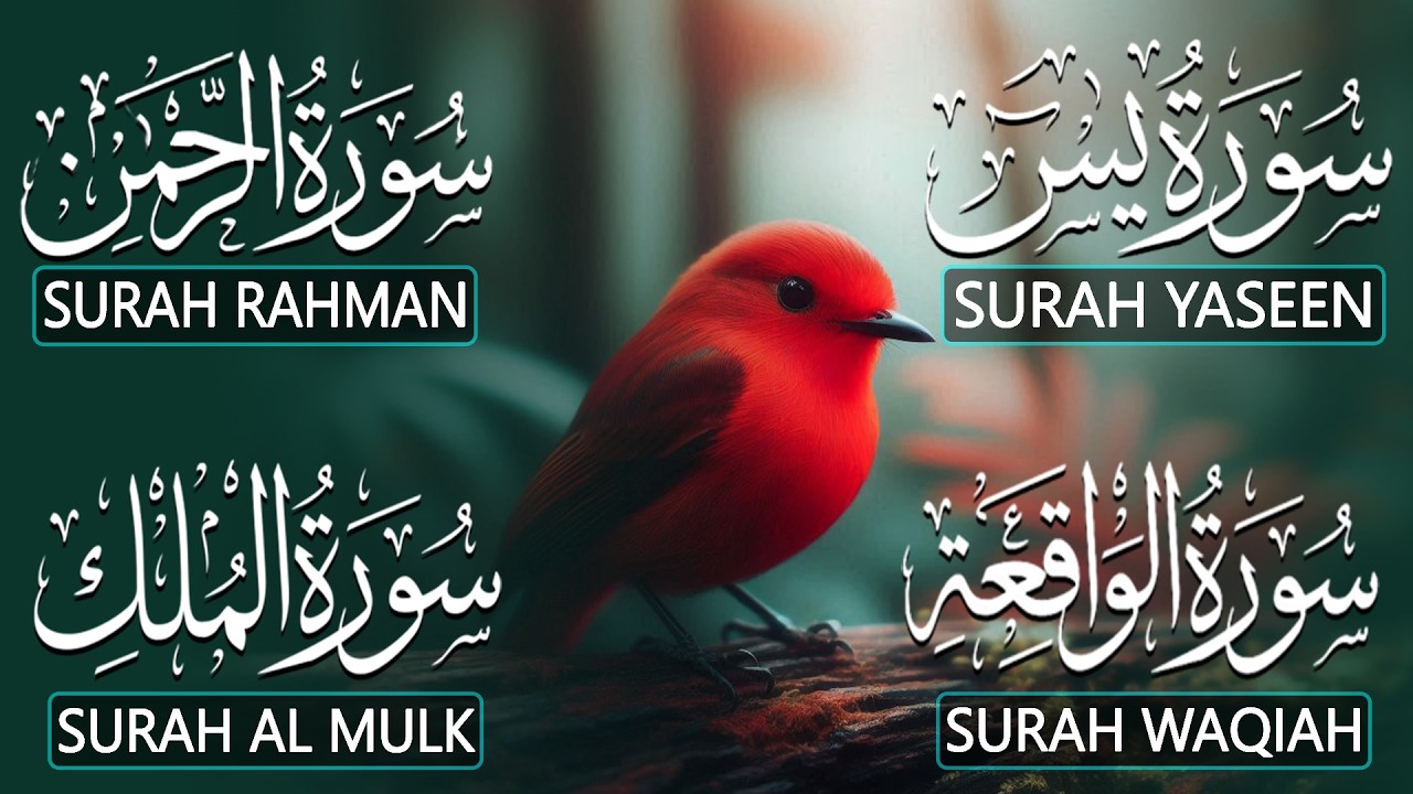 The Best Recitation Surah Yaseen Yasin  Surah Rahman  Surah Waqiah  Surah Mulk | By Alaa Aqel