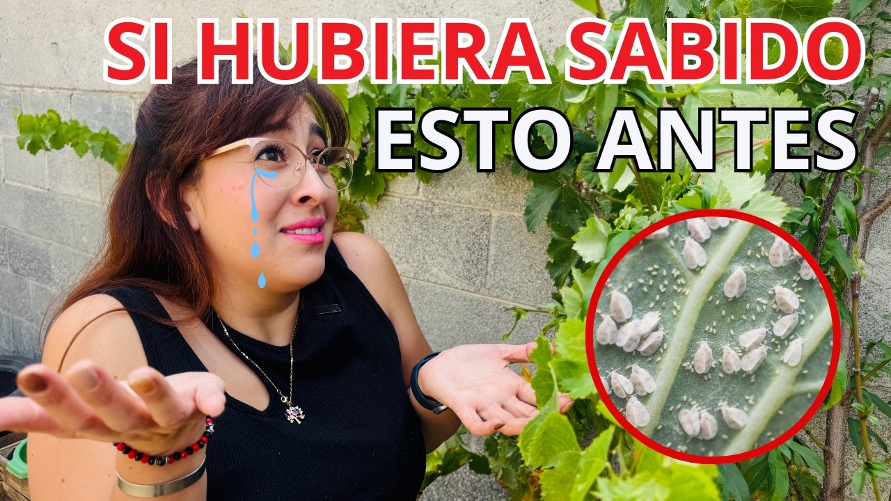 Estas plagas están matando tu huerto 😱 ¡Descubre cómo eliminarlas ya! ✅