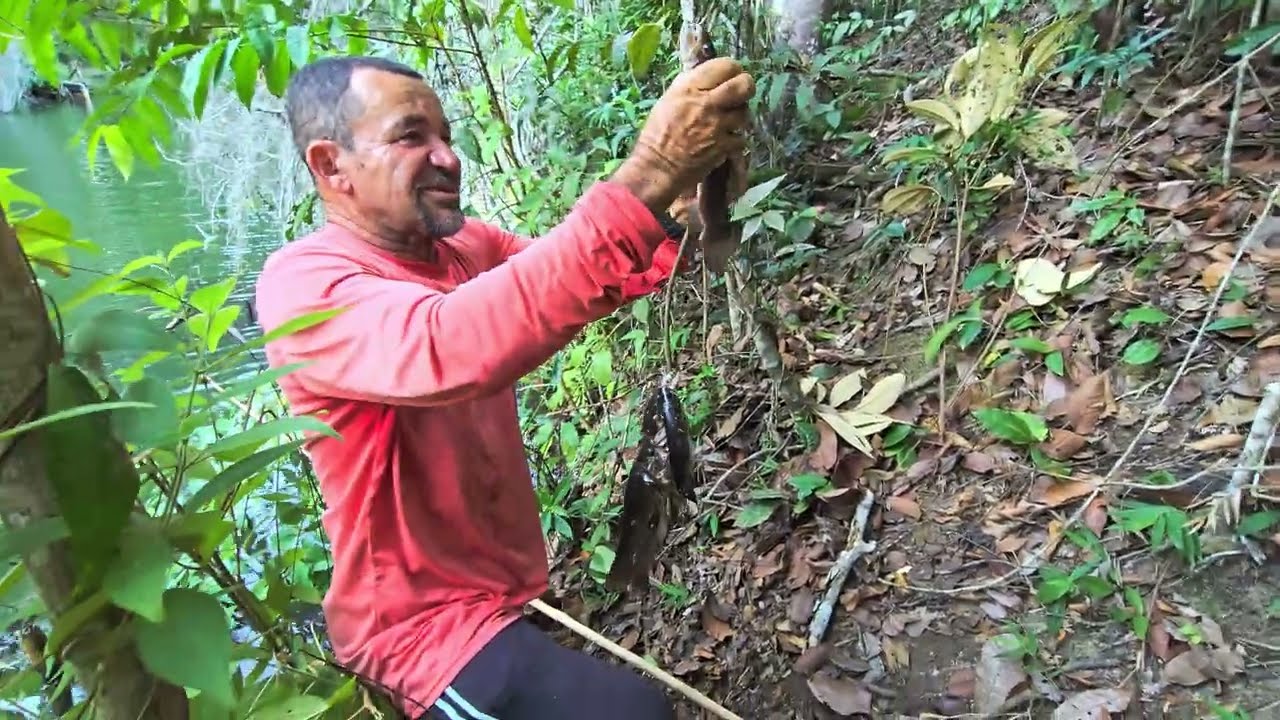 PESCARIA PARTE 3/FIM DA PESCARIA/INDO PRA CASA COM MUITOS PEIXES/24 de janeiro de 2026