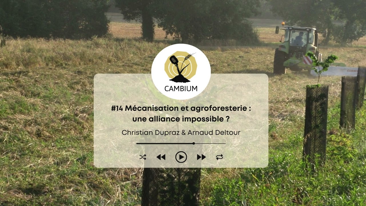 Cambium #14 - Mécanisation et agroforesterie : une alliance impossible ?