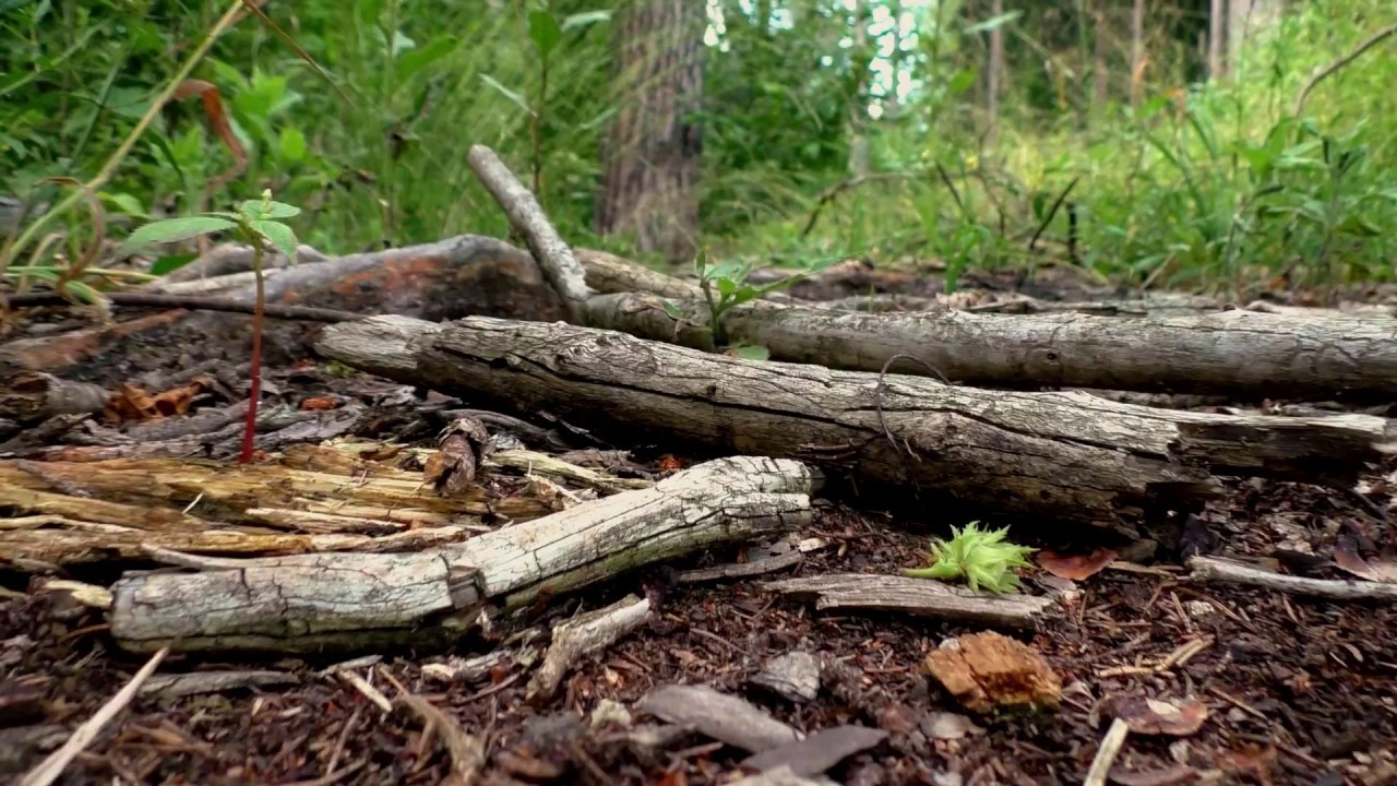 Kameratest Panasonic V777 (cinematic)