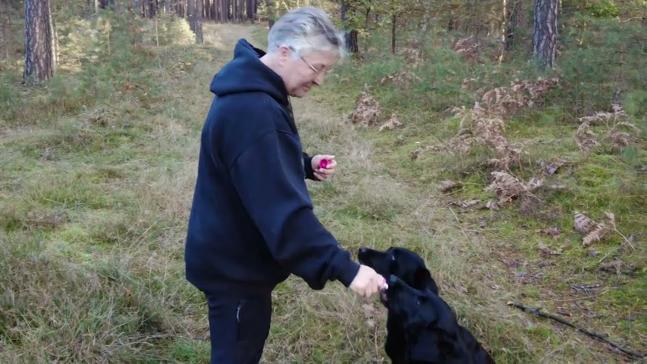 Waldsuche dritter Tag Rebecca Reusch - Nachuntersuchung Teppich + Training Nimue Archäologiehund