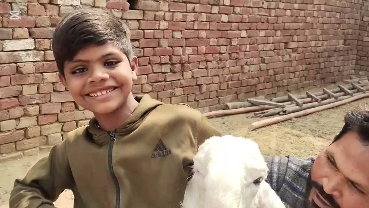 Aj Hum nay bakrao ko🐏🐑 nahalaya