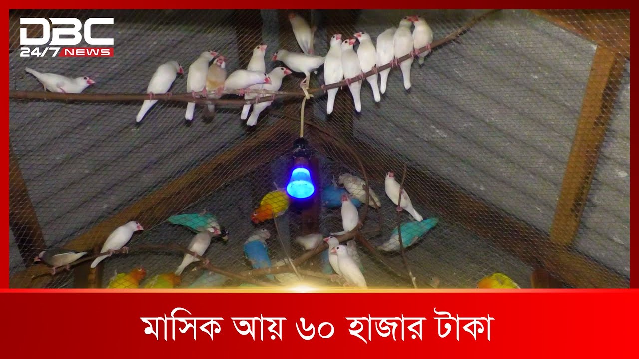হিমুর পাখির খামার  | DBC News Special