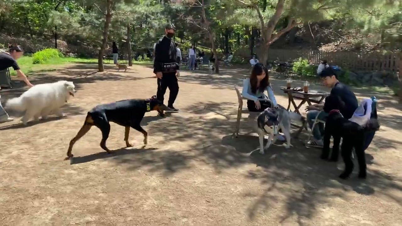 야외 나들이 (In 피터팻츠)