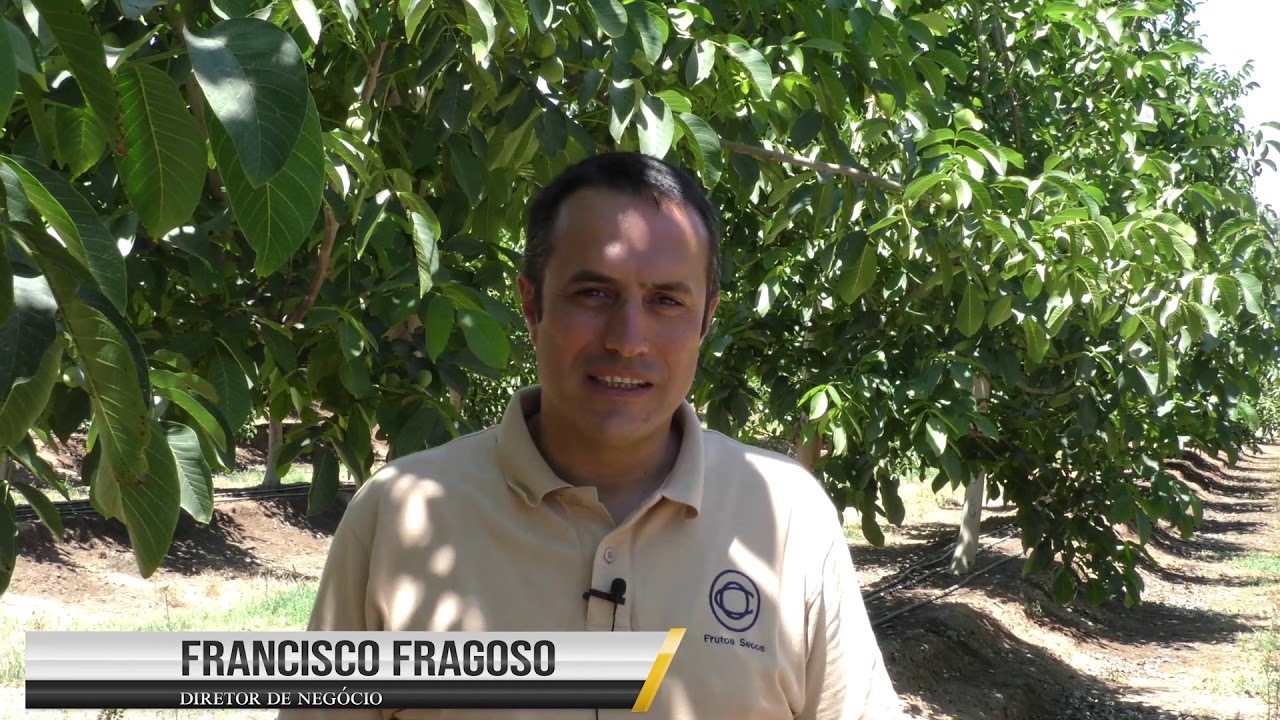 Nogam – o maior produtor de nozes da Península Ibérica adere ao programa Operation Pollinator