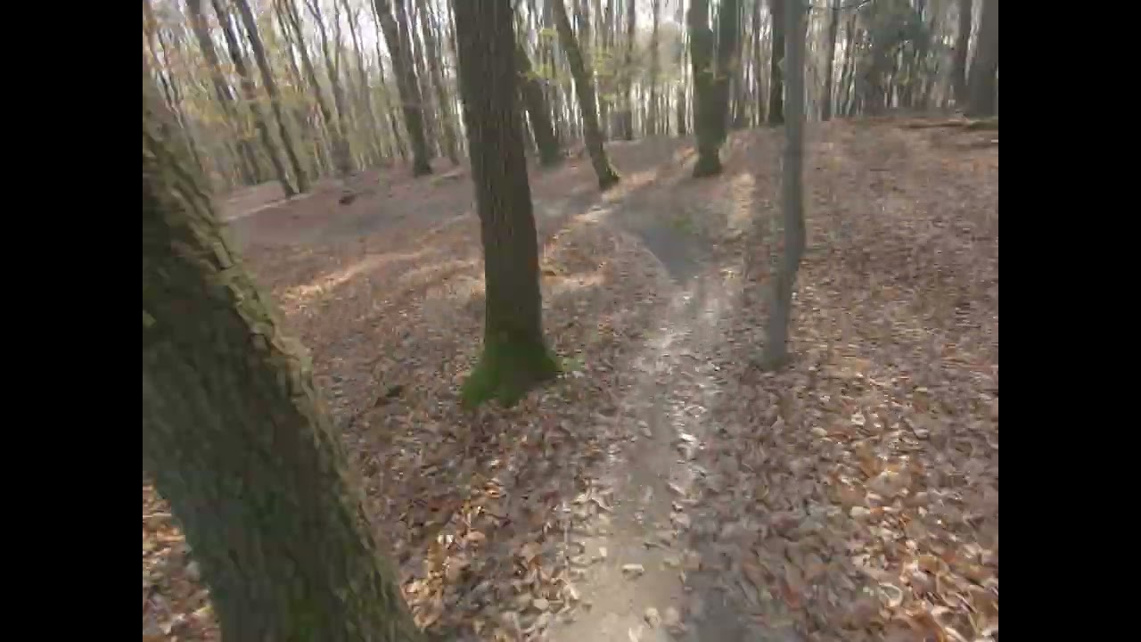 TBK1 - Trail Biely Kríž 1