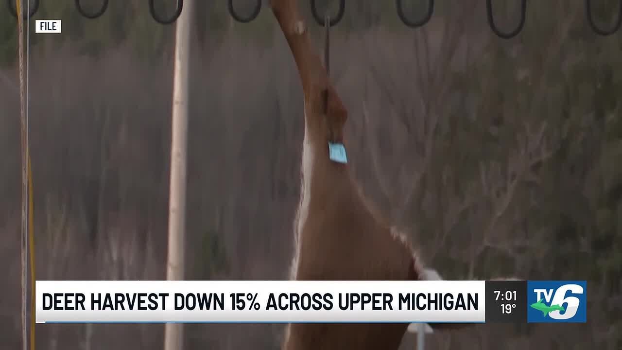 Michigan DNR reports down year for 2025 firearm deer season in UP