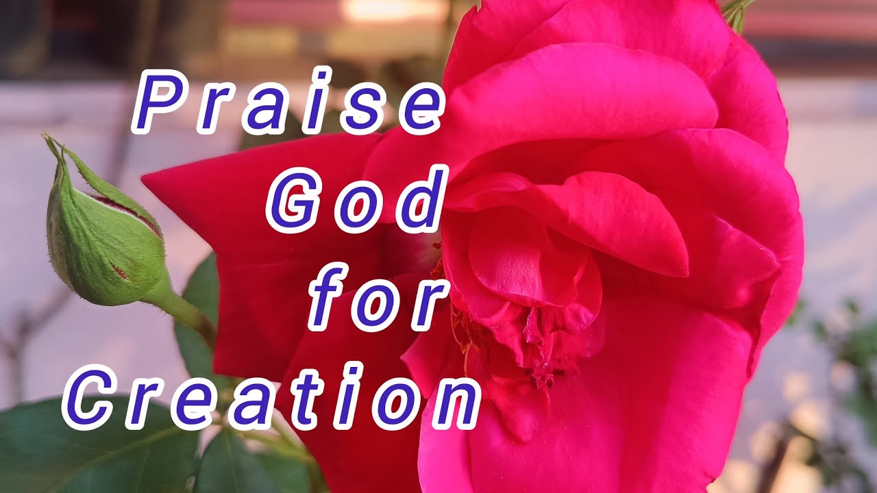 Praise God for Creation// God’s Wonderful Creation