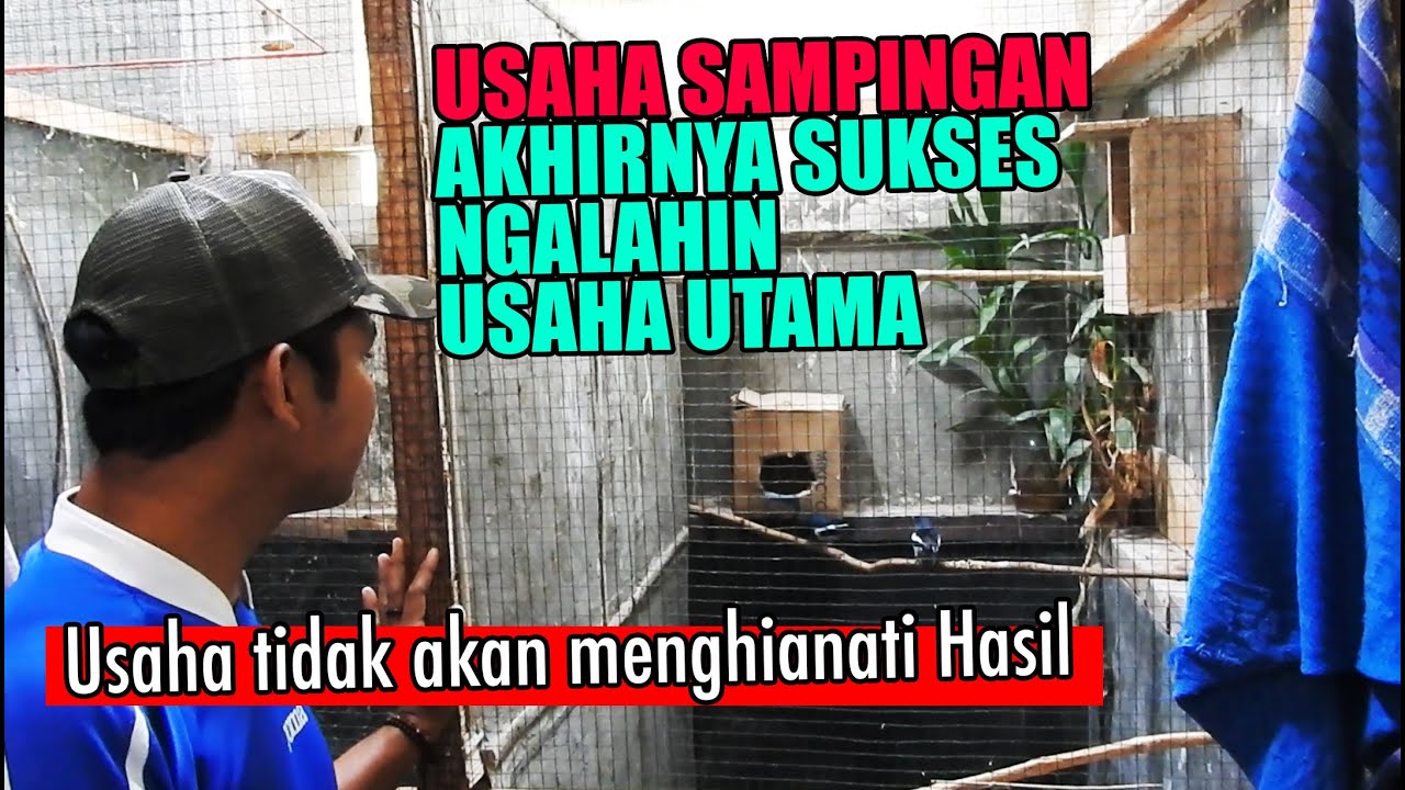 NIAT AWALNYA TERNAK BURUNG BUAT USAHA SAMBILAN, EH..MALAH PENDAPATANYA SEKARANG JAUH LEBIH BESAR