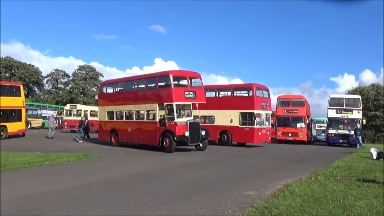 Showbus 2016 More buses