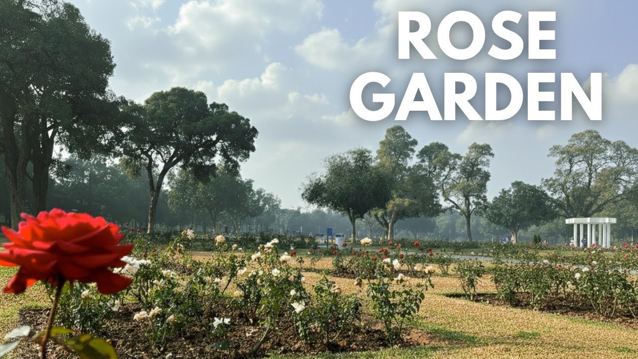 Rose Garden Chandigarh | Beautiful Flowers & Calm Walk 🌸