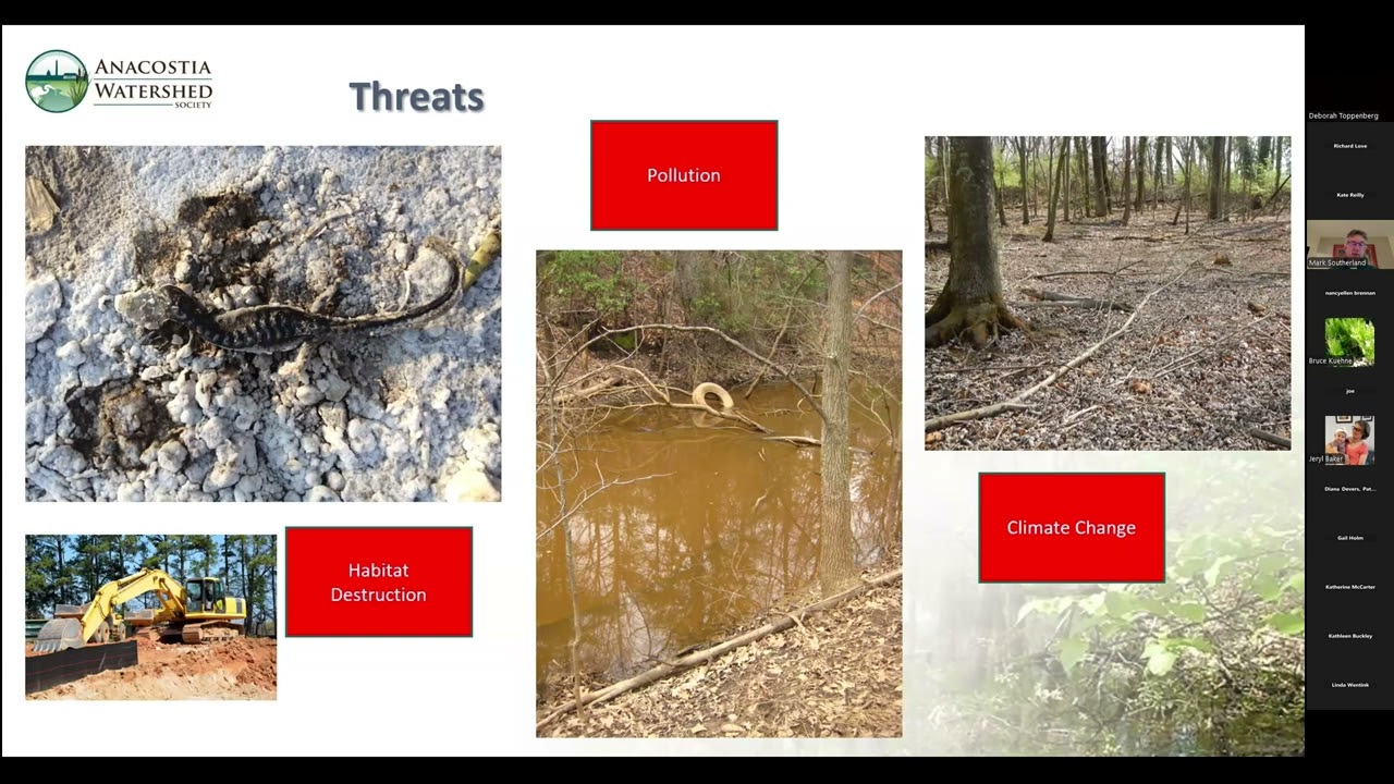 Vernal Pool Partners KC Cares