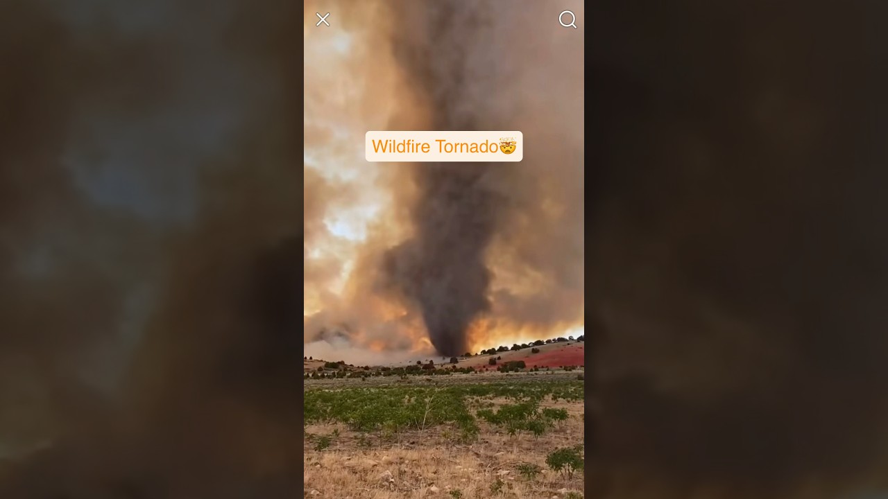 Огненный смерч!🌪️🔥 Я никогда такого не видел🤯 #леснойпожар #пожар #utahfireinfo #огонь