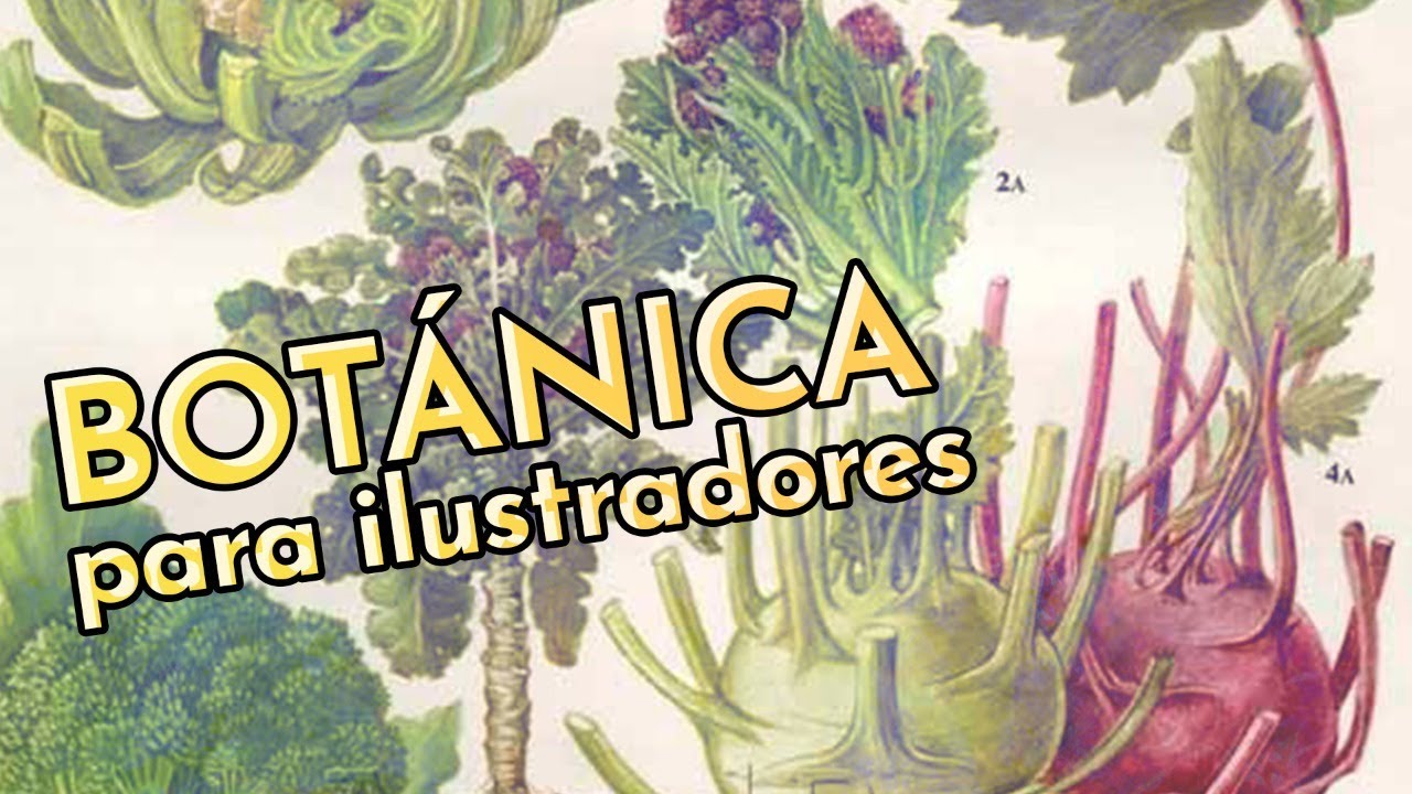 CURSO de Ilustración Botánica - Técnicas