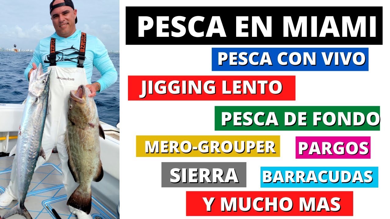 Pesca En Miami, Usando 3 Tecnicas Diferentes,1 Jigging Lento, 2 Pesca De Fondo, 3 Pesca Con Vivo !