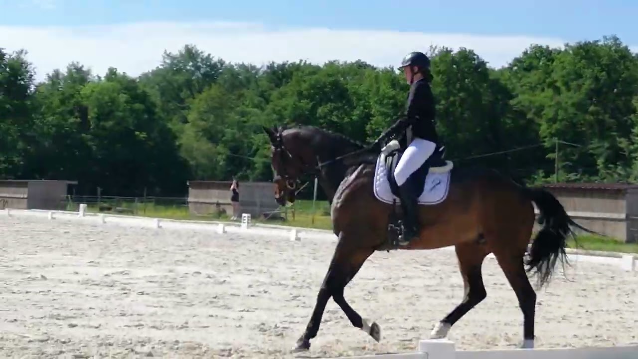 Cali et Sarah en dressage club 1 grand prix au Rondeau
