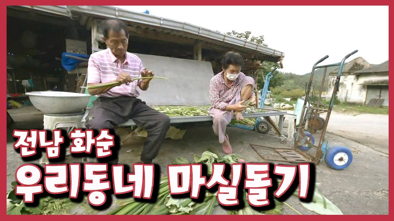 [남도지오그래피] 우리동네 마실돌기, 전남 화순 | KBS 200914 방송