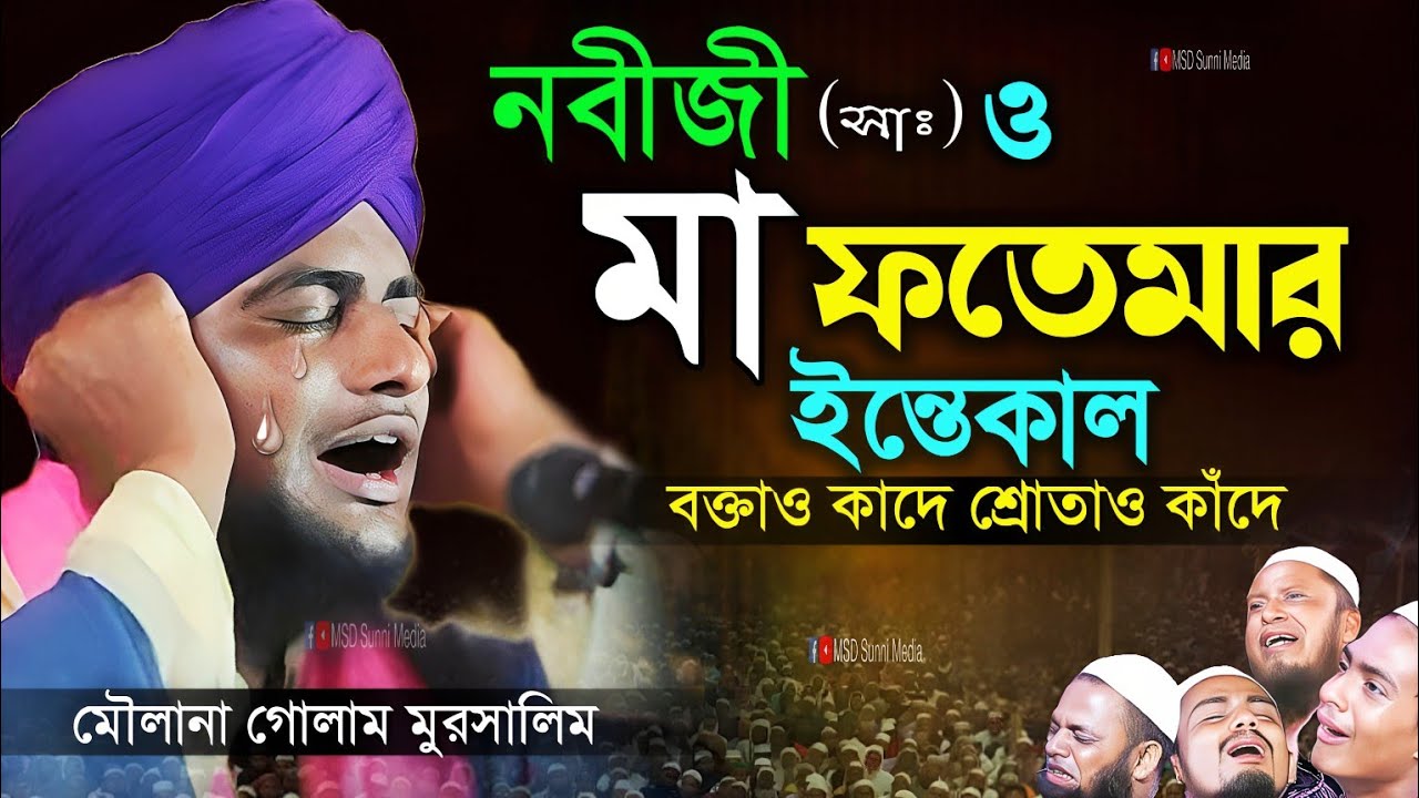নবীজী (সাঃ) ও মা ফতেমার ইন্তেকাল ┇ বুক ফাটা কান্নার ওয়াজ ┇ golam mursalim rezvi new waz