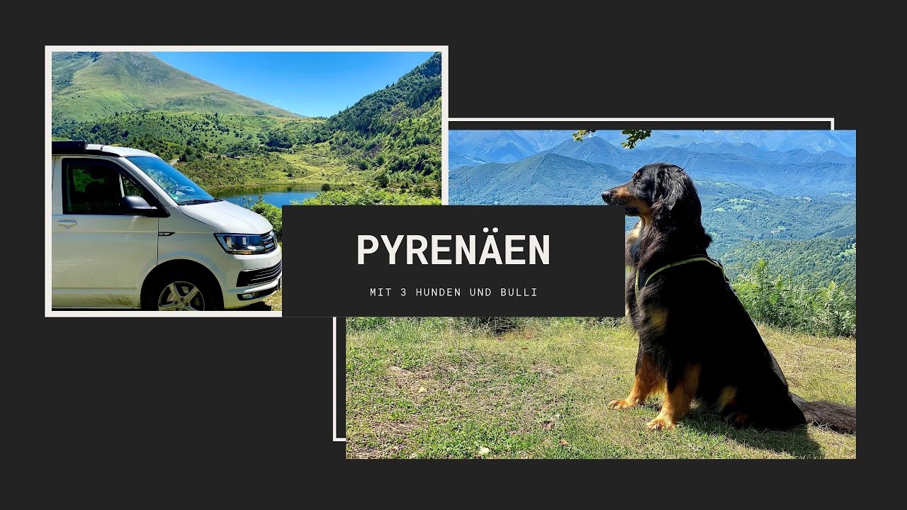 Pyrenäen-Abenteuer mit 3 Hovawarts im Bulli: Roadtrip, Wanderungen & Bären-Begegnung!