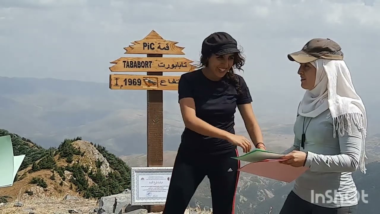 جبل تبابورت ولاية بجاية🇩🇿🌲⛰️
