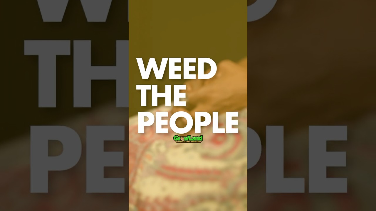 𝐓𝐡𝐞 𝐃𝐚𝐧𝐤 𝐃𝐮𝐜𝐡𝐞𝐬𝐬 